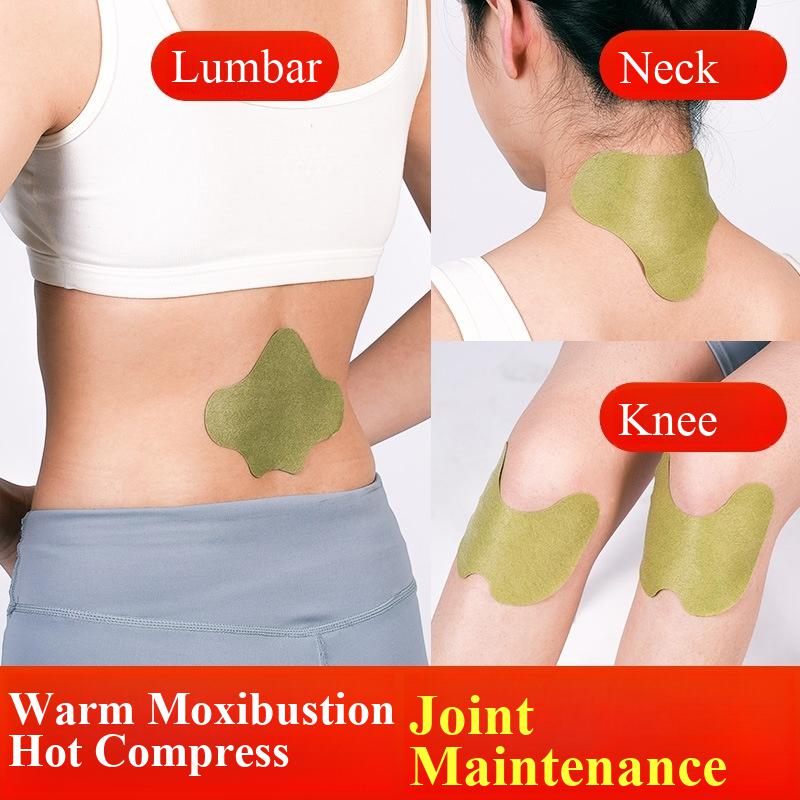 100pcs Wormwood Lumbar Patches - Yoga Health & Fitness Center 评论和价格