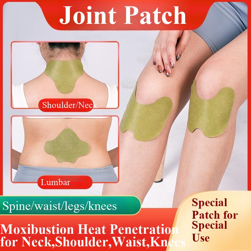 100pcs Wormwood Lumbar Patches - Yoga Health & Fitness Center 评论和价格