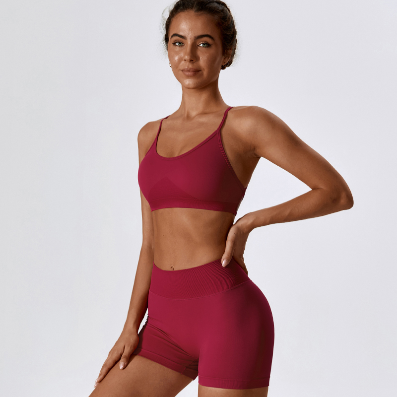 DANCEFISH 2023 Women Seamless  - Yoga Daily Fitness 评论和价格