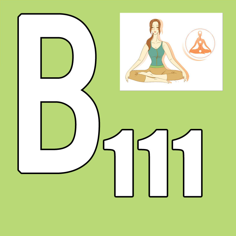 Hot Sale Latest Release 2026.Q - Yoga Fitness Course 评论和价格
